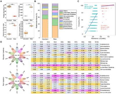 Abundant bacteria shaped by deterministic processes have a high abundance of potential antibiotic resistance genes in a plateau river sediment